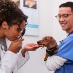 Sell Your Veterinary Practice