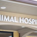 Buying Veterinary Hospitals